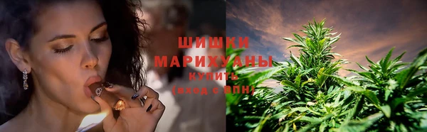 стаф Абаза