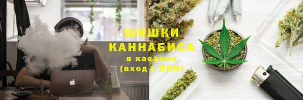 стаф Абаза