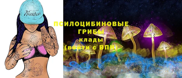 стафф Абинск