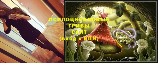 стаф Абаза