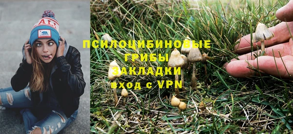стаф Абаза