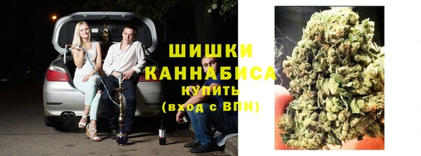 Альфа ПВП Новодвинск