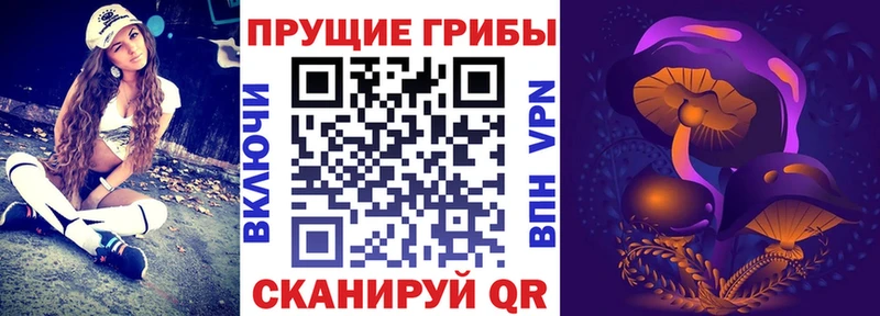 купить наркоту  МЕГА как войти  Псилоцибиновые грибы мухоморы  Кяхта 